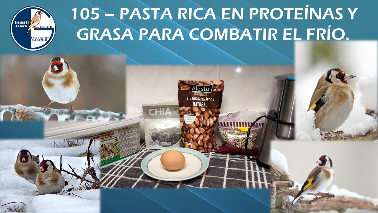 105   PASTA RICA EN PROTEÍNAS Y GRASA PARA COMBATIR EL FRÍO