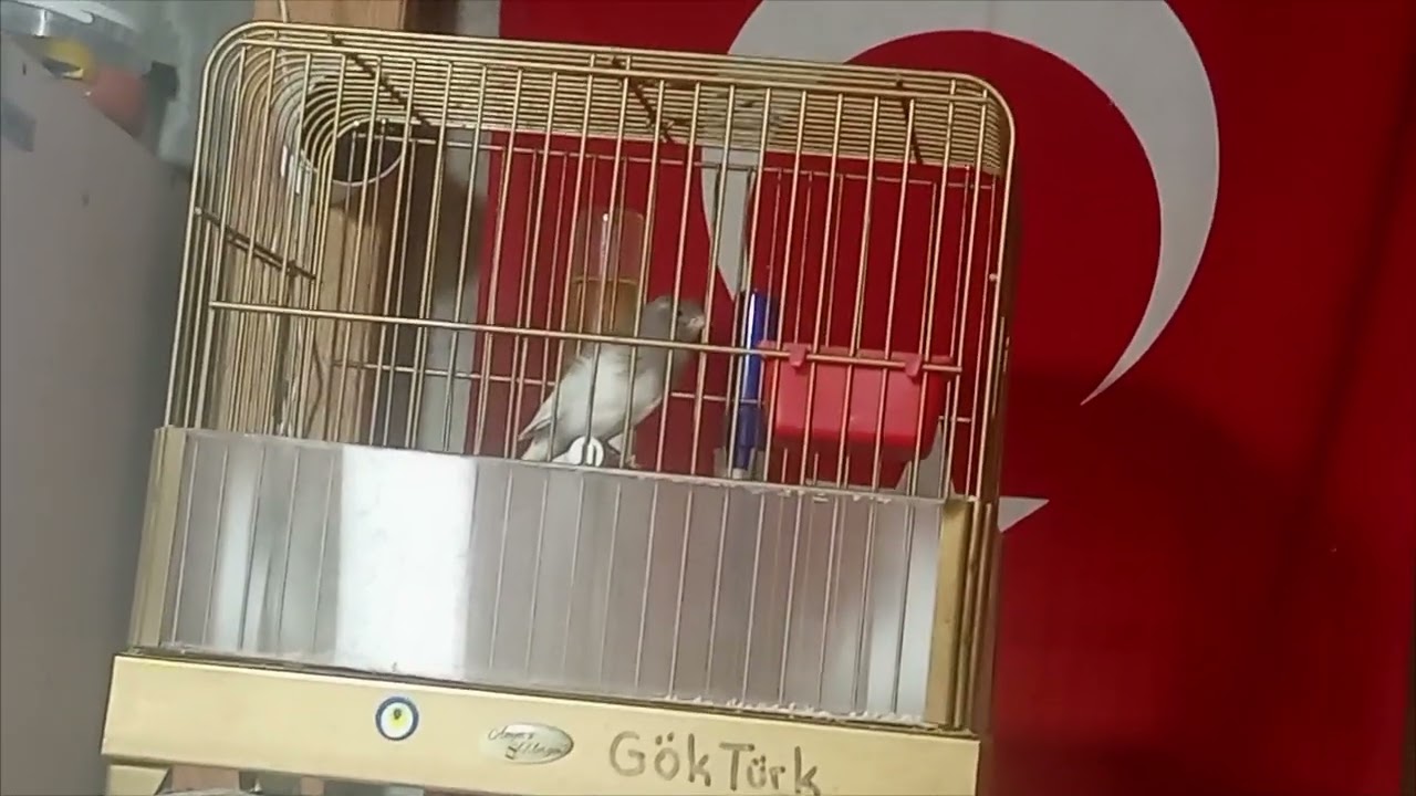 21 Aralık 2025