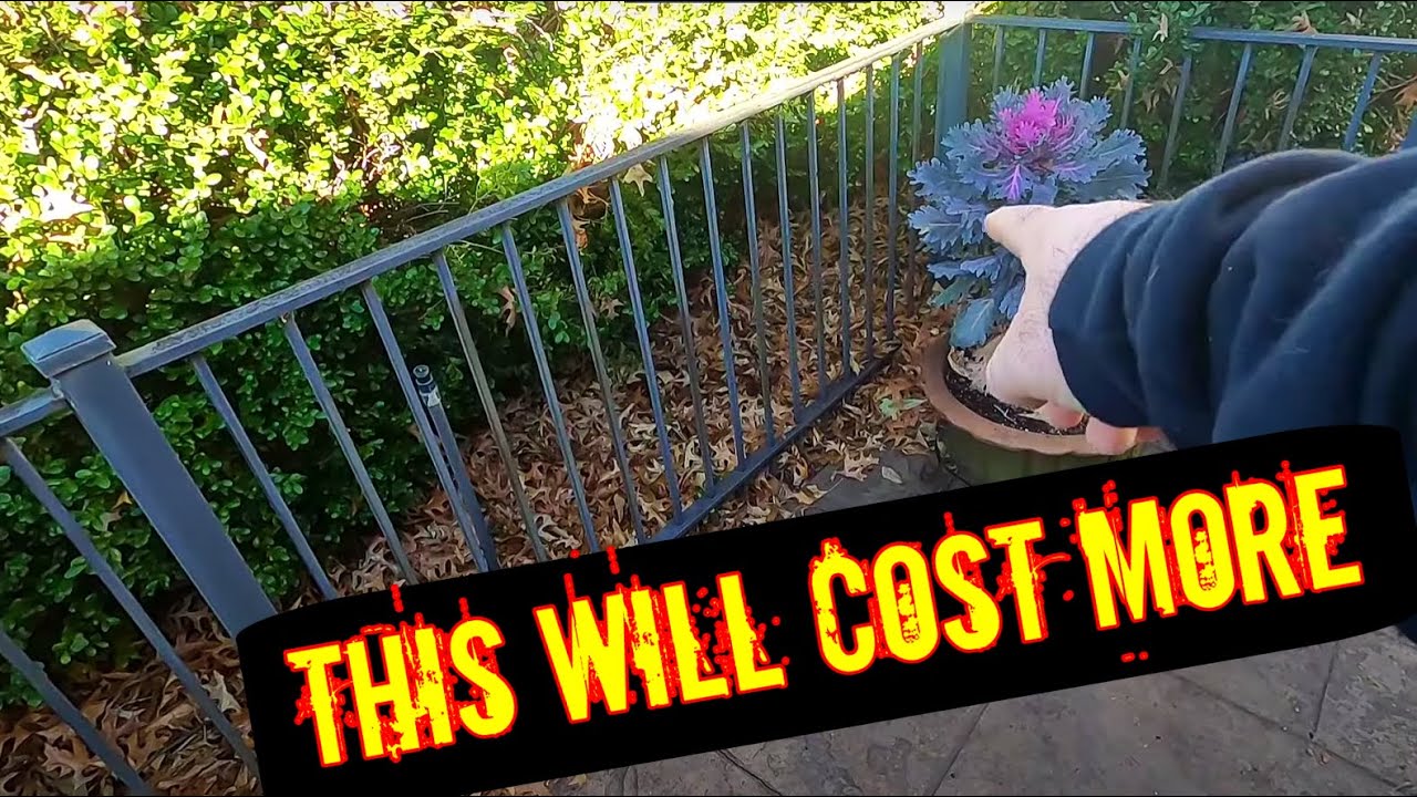 Things I look at when pricing leaf removal | leaf removal equipment | leaf removal business start up