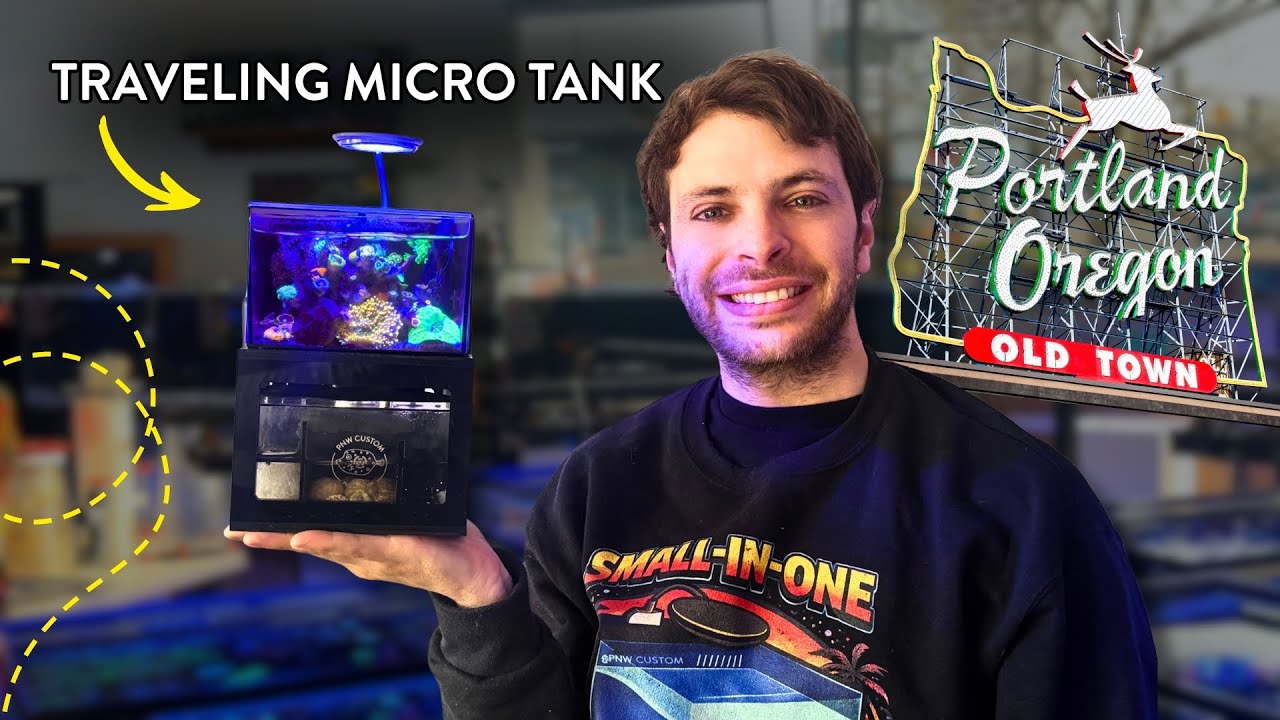 A Day With a Traveling Micro Reef in Portland, Oregon