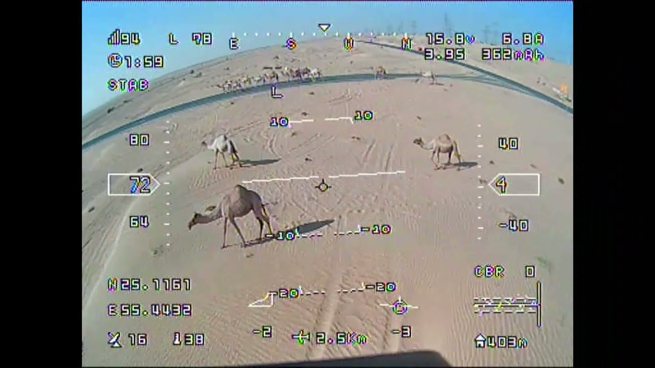 Zohd XL FPV With Head Tracking