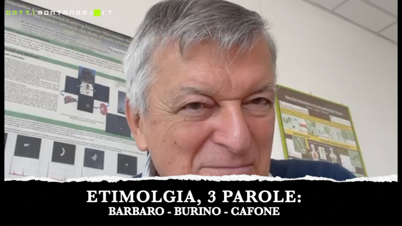 🤯 Barbaro, Burino e Cafone...stai usando queste parole nel modo giusto?