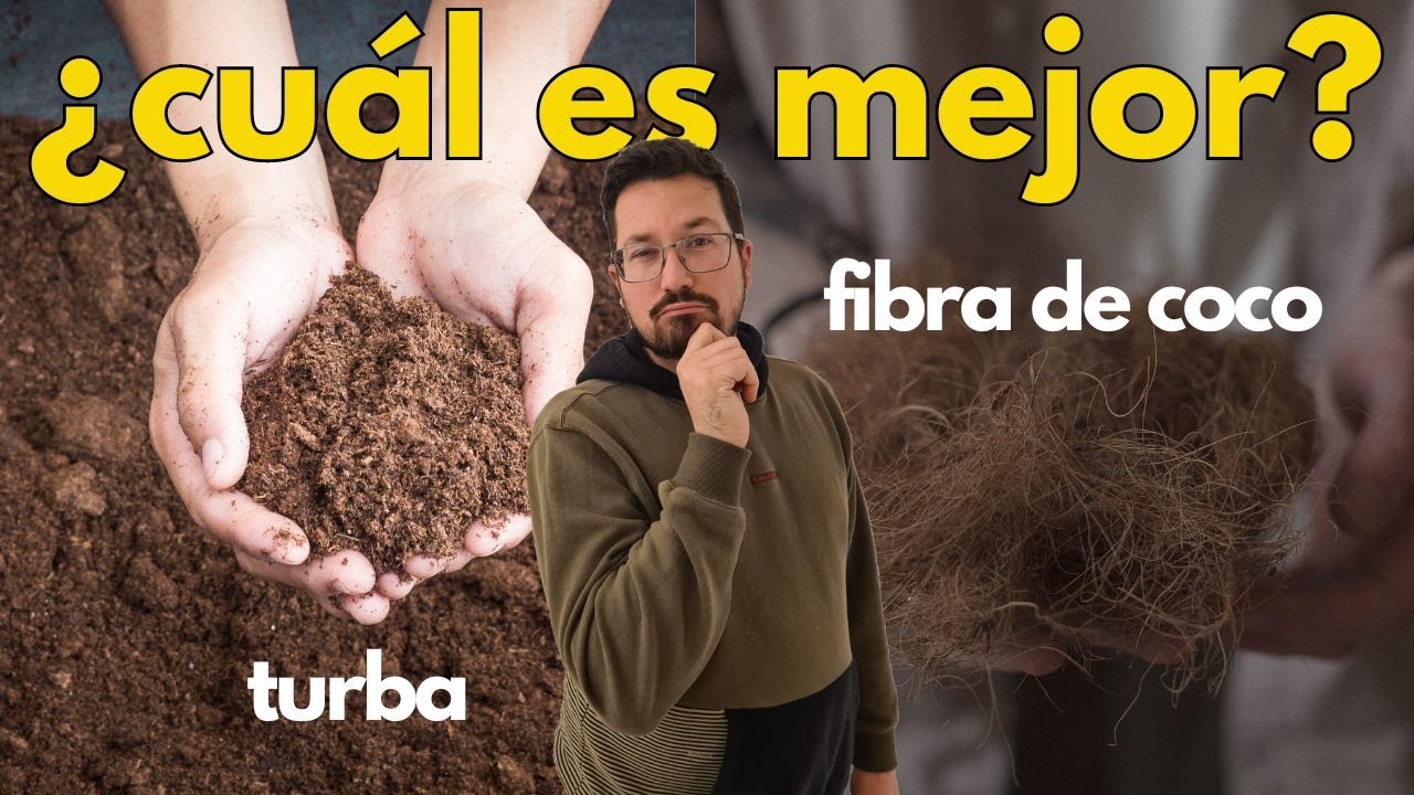¿Turba o fibra de coco? 🥥