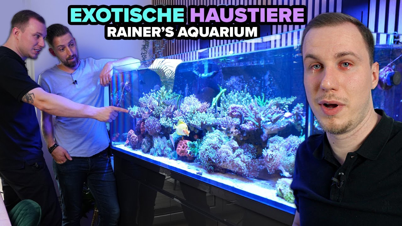 Das private AQUARIUM von Rainer - 600 Liter MEERWASSER... So funktioniert's!