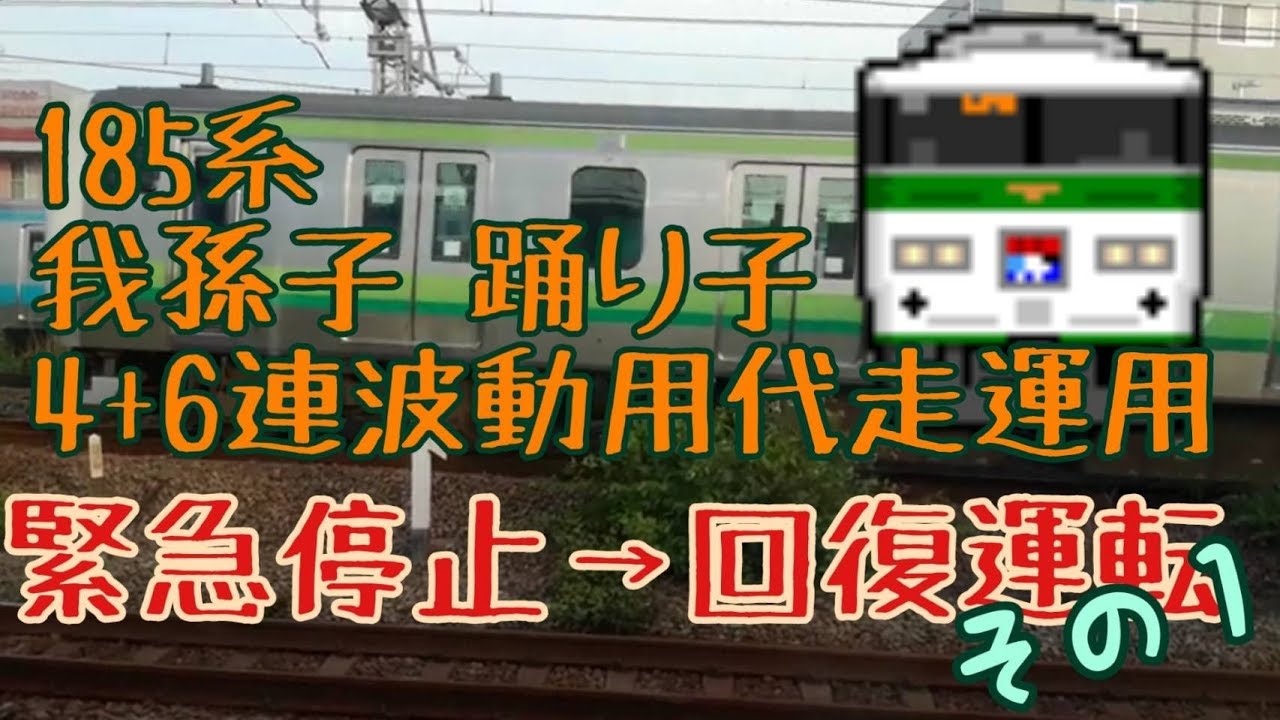 185系緊急停止→回復運転 我孫子踊り子代走運用 その１