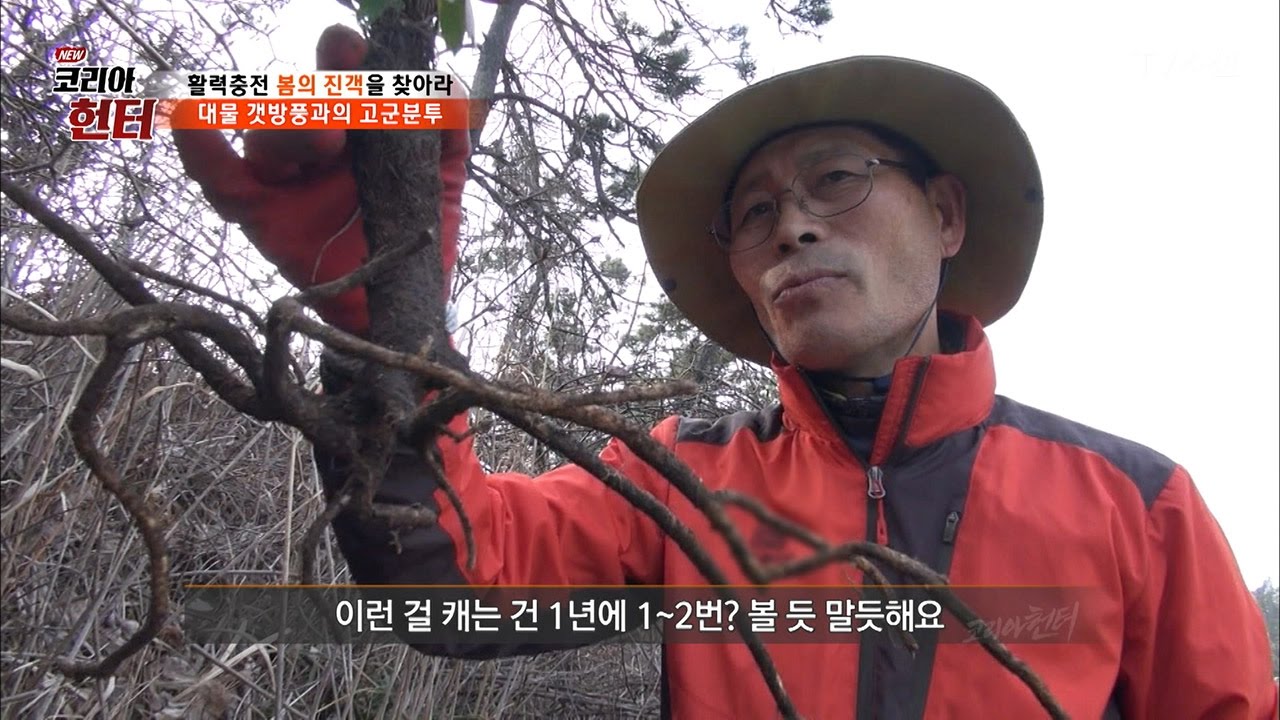 절벽에서 찾은 대물 갯방풍! [뉴 코리아 헌터] 41회 20170313