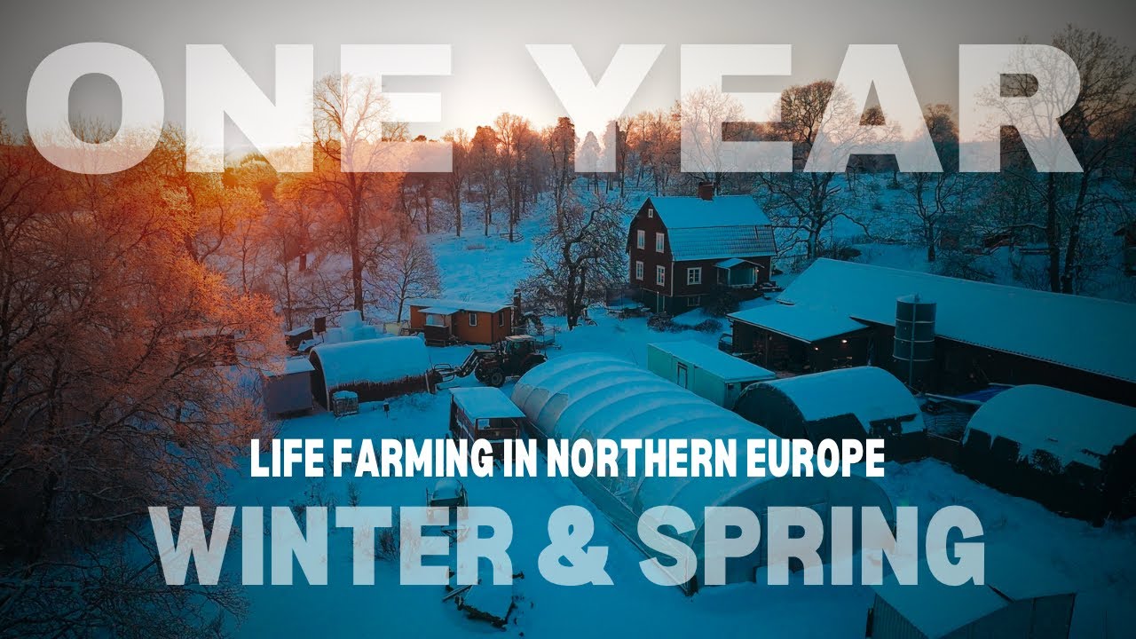 One Year As Young Farmer on Swedish Homestead  🐄🐏🐓🚜 | Winter & Spring 2023tt