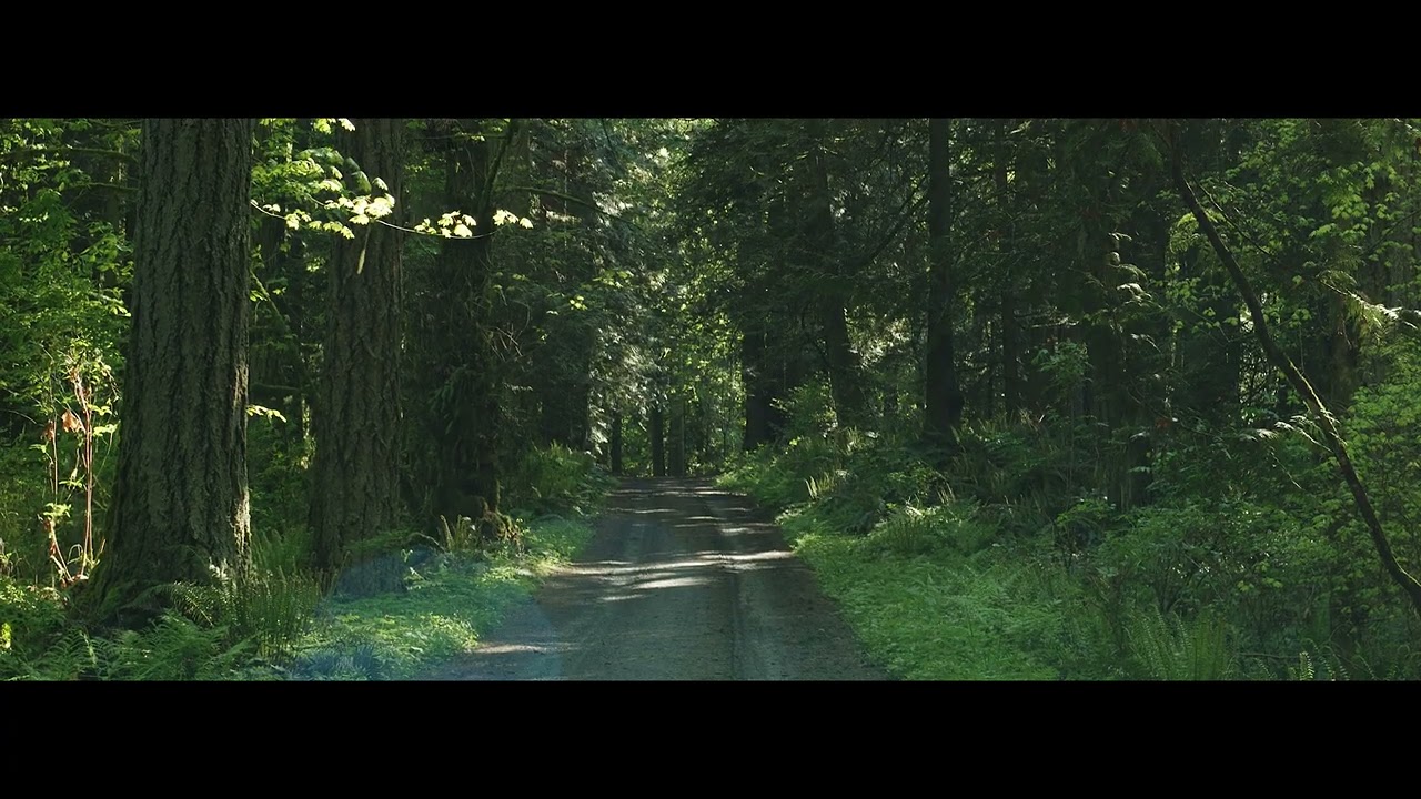Sirui Anamorphic: 35 and 50 1.8 on the Lumix GH6