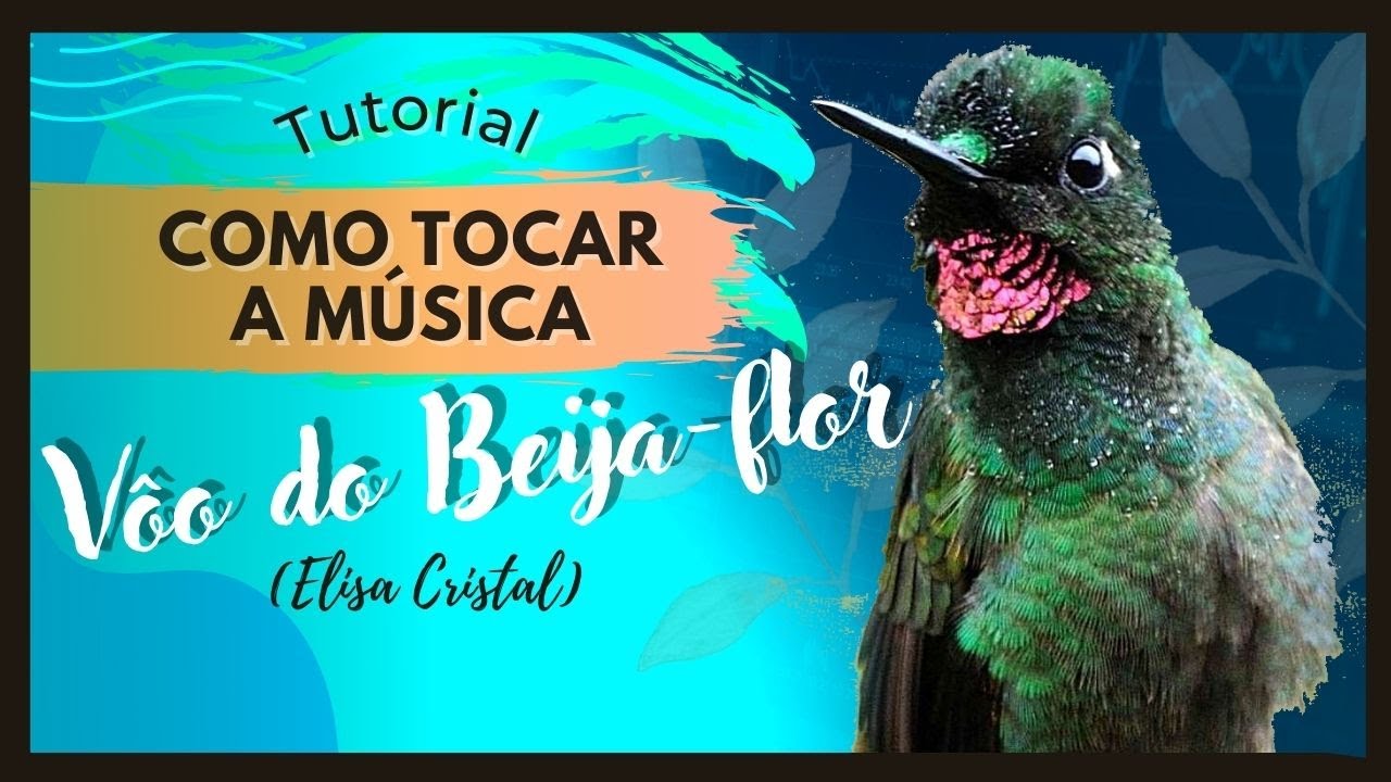 Tutorial | Como tocar a música Vôo do Beija-flor (Elisa Cristal)