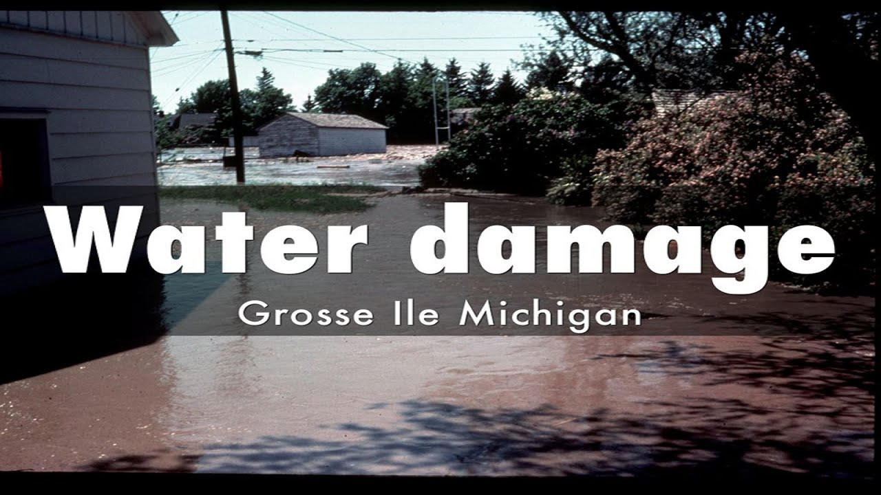 Water damage Grosse Ile Michigan