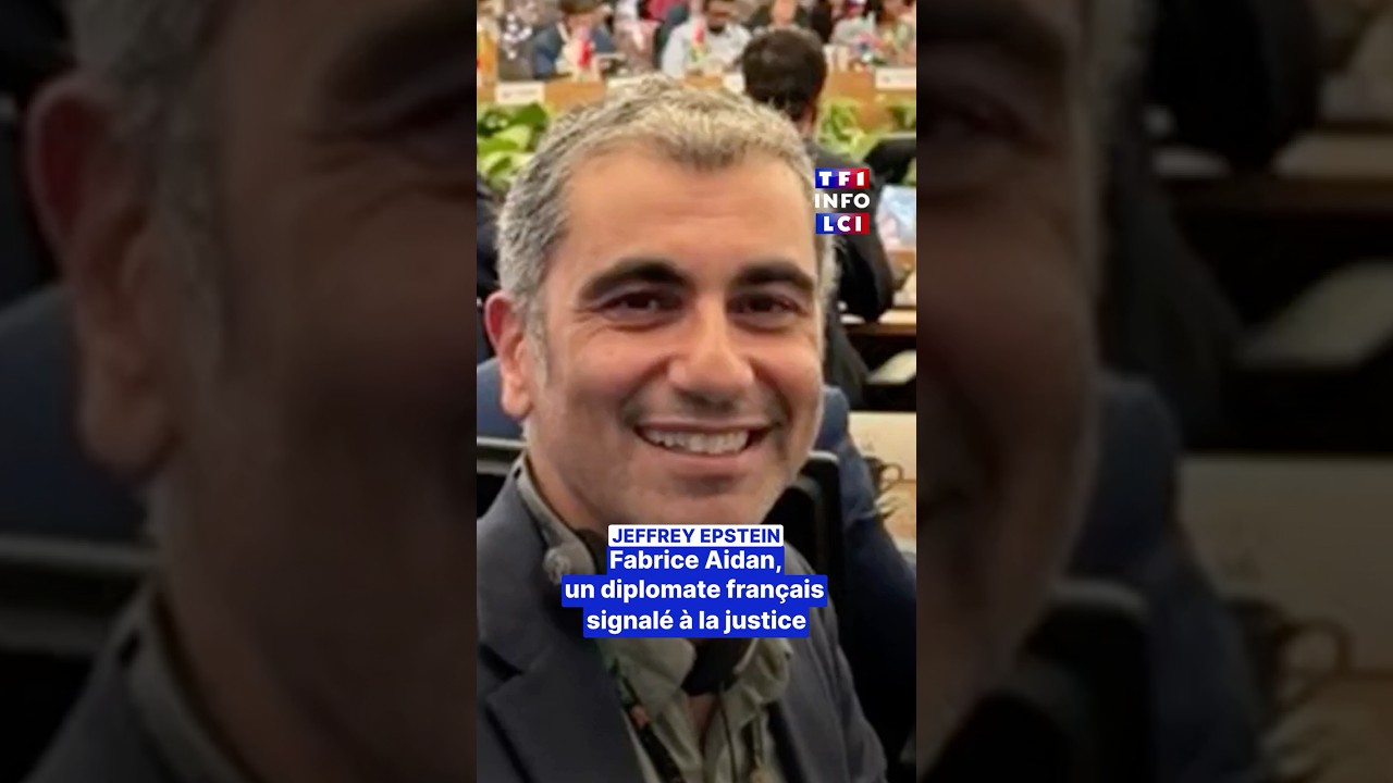 🔴 Affaire Epstein : Fabrice Aidan, un diplomate fran&ccedil;ais signal&eacute; &agrave; la justice｜LCI
