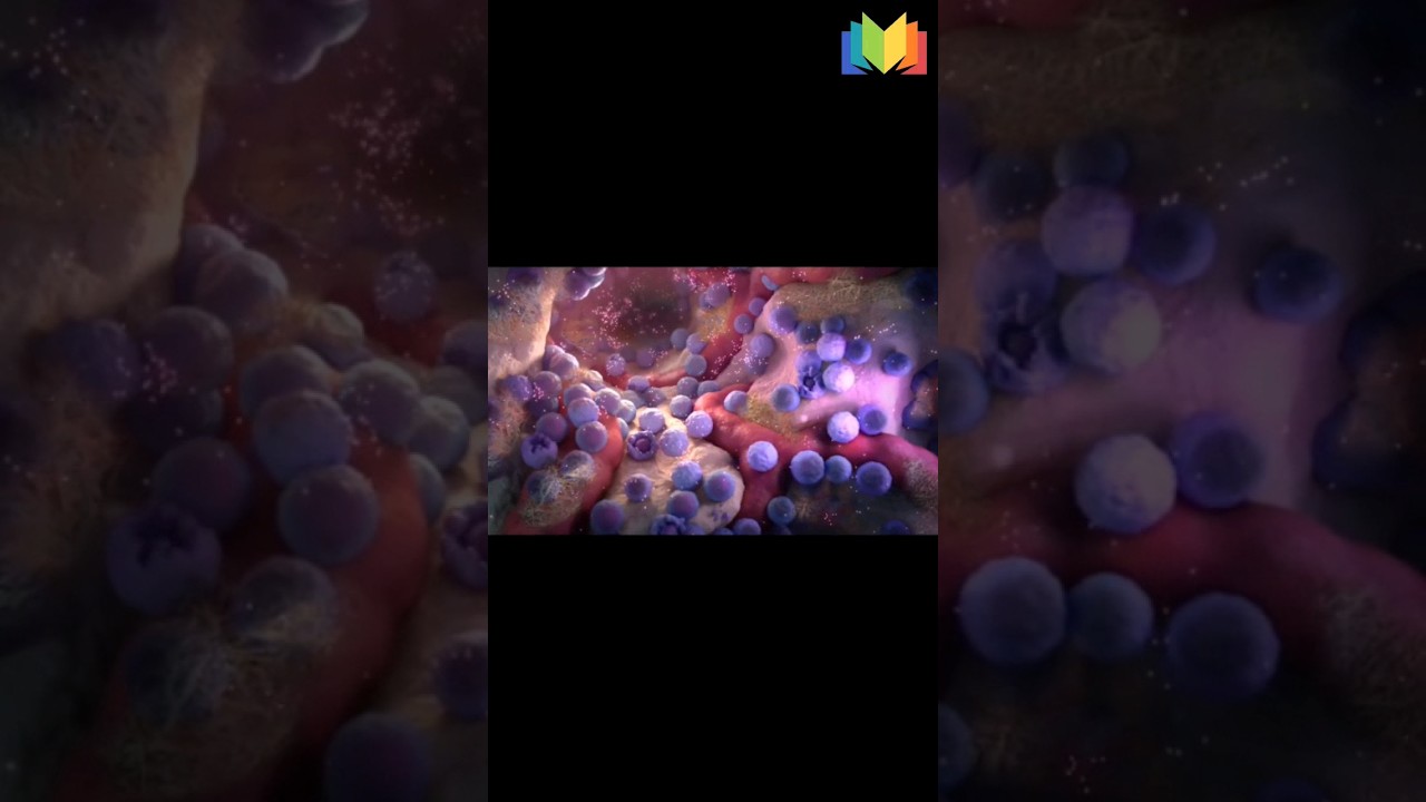 Apoptosis: A Programmed Cell Death!