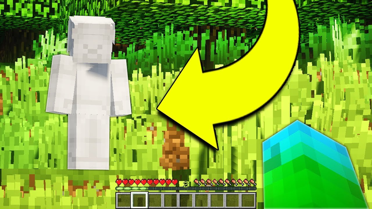 RAINBOW STEVE FOUND LIGHT STEVE!
