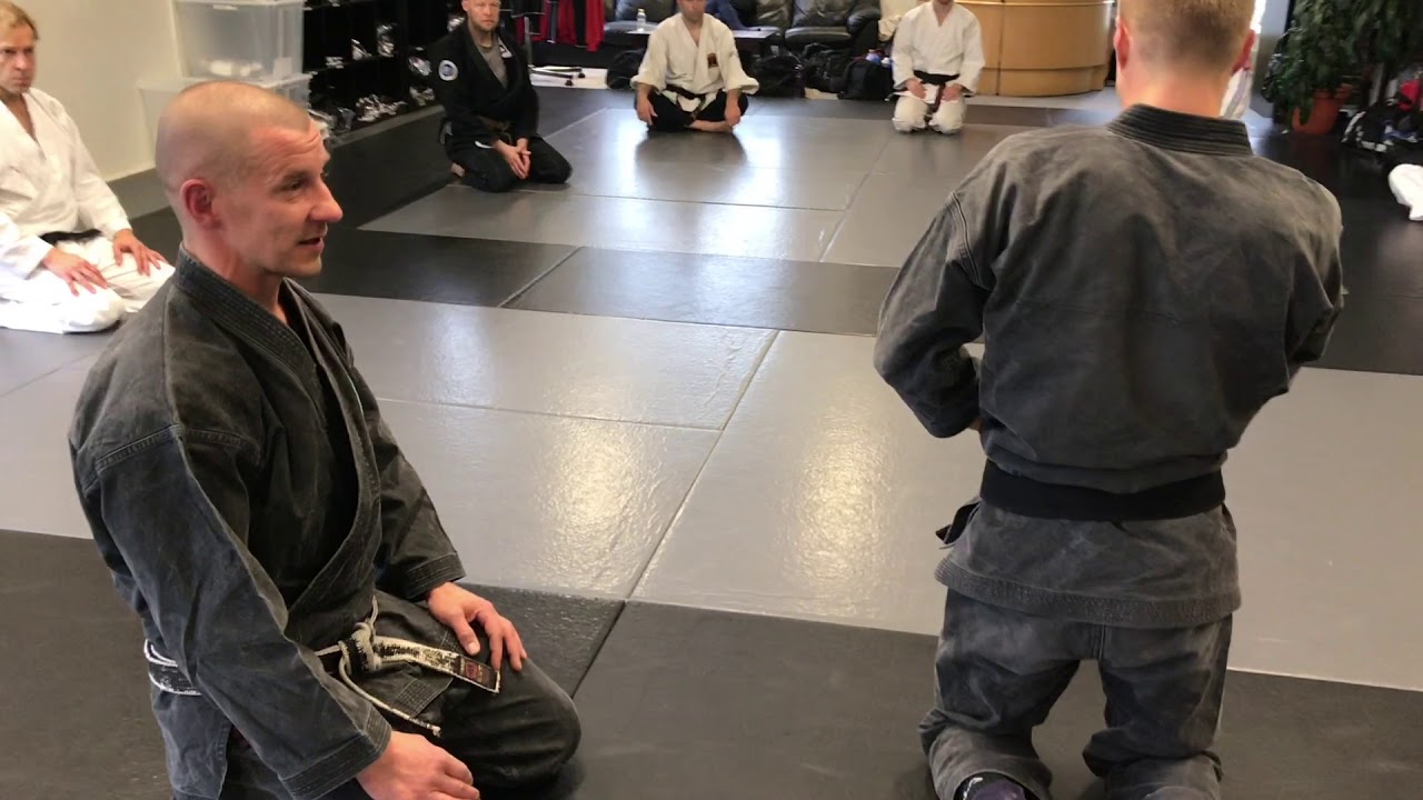 Bujinkan Budo Taijutsu