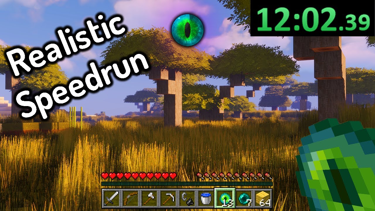 The Most REALISTIC Minecraft Speedrun...