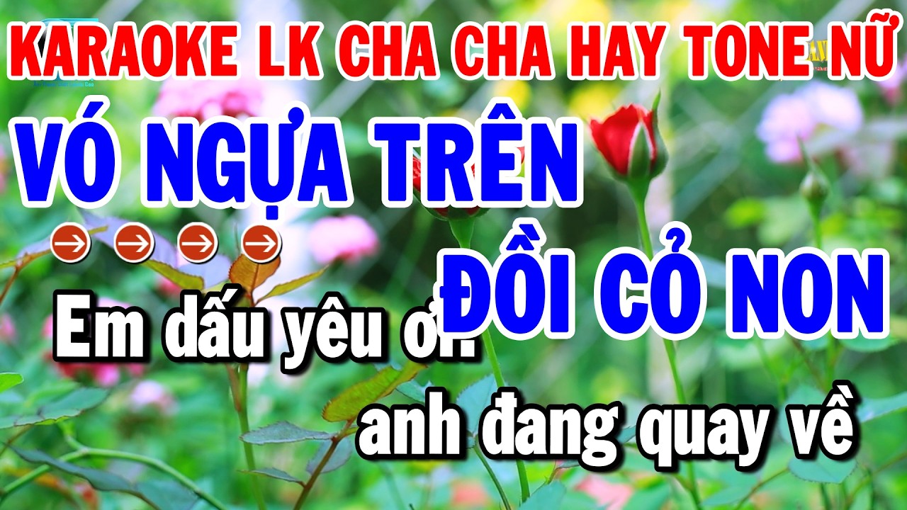 Karaoke Liên Khúc Nhạc Sống Tone Nữ Cha Cha Dễ Hát | Vó Ngựa Trên Đồi Cỏ Non - Hỏi Vợ Ngoại Thành