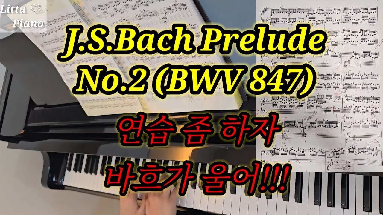 J.S. Bach JS 바흐 (BWV 847) Prelude No. 2 연습 좀 하자!!!바흐가 운다 (2)