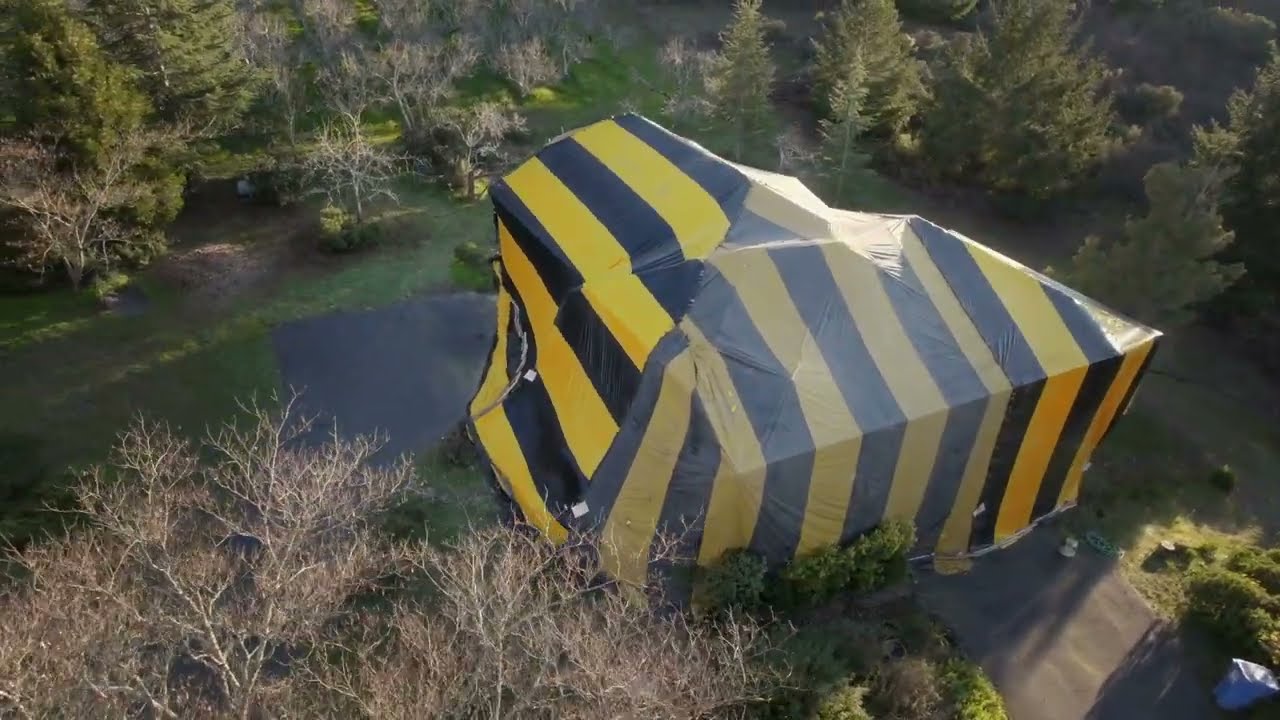 Our Termite Fumigation Warranty