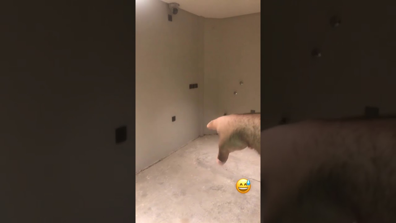 الكهرباء في المطبخ