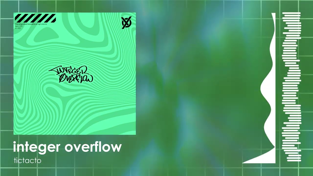integer overflow