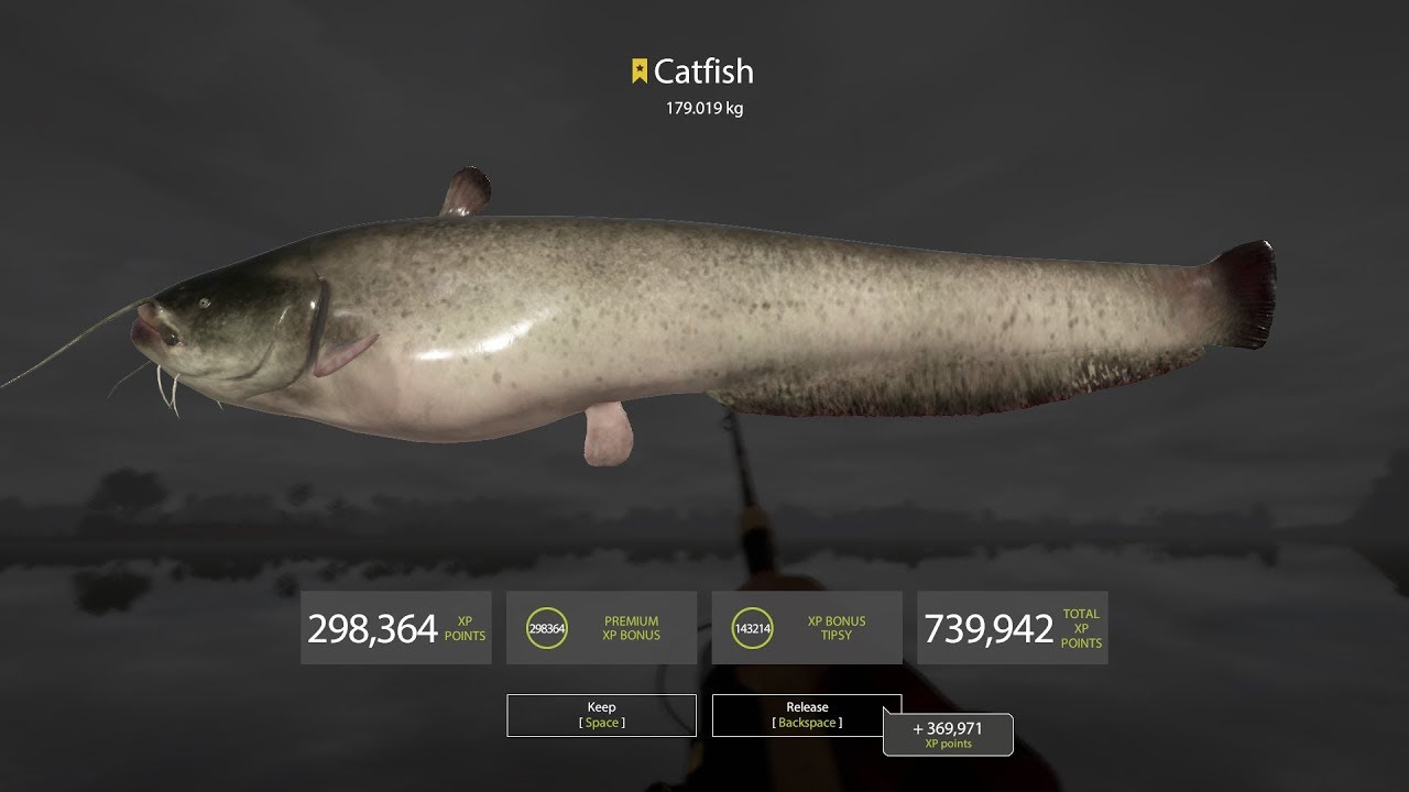 Russian Fishing 4 - Monster Trophy Catfish 179kg at Akhtuba