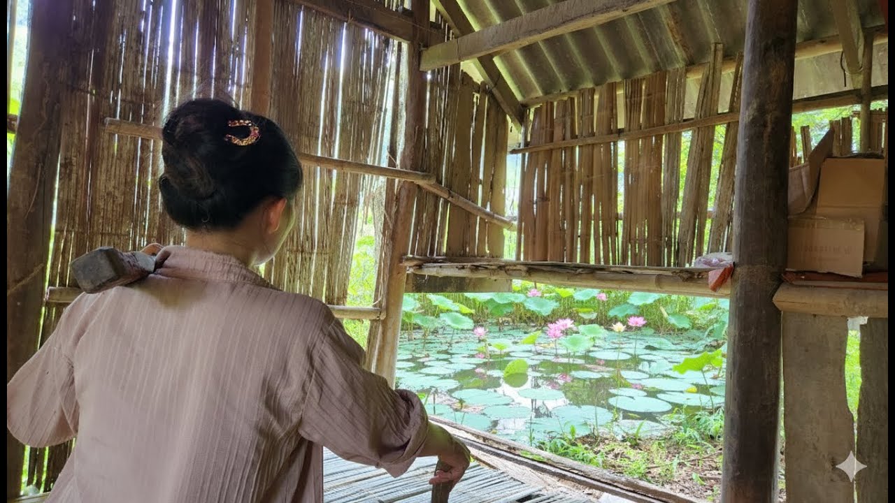 Young mother renovates bamboo house. Plants lotus. Cooks with children.