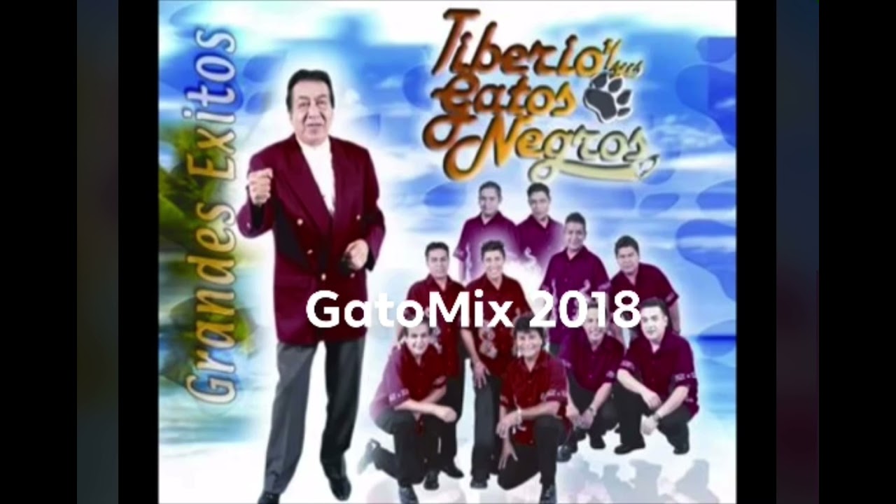 Lágrimas de escarcha ( Tiberio y Sus Gatos Negros )