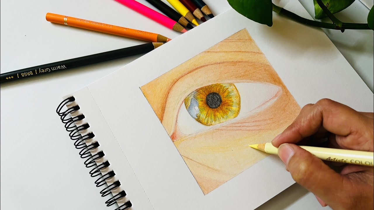 Beginner Guide to Drawing a Realistic Eye with Colour Pencils Part 1 #eyedrawing #realistic 