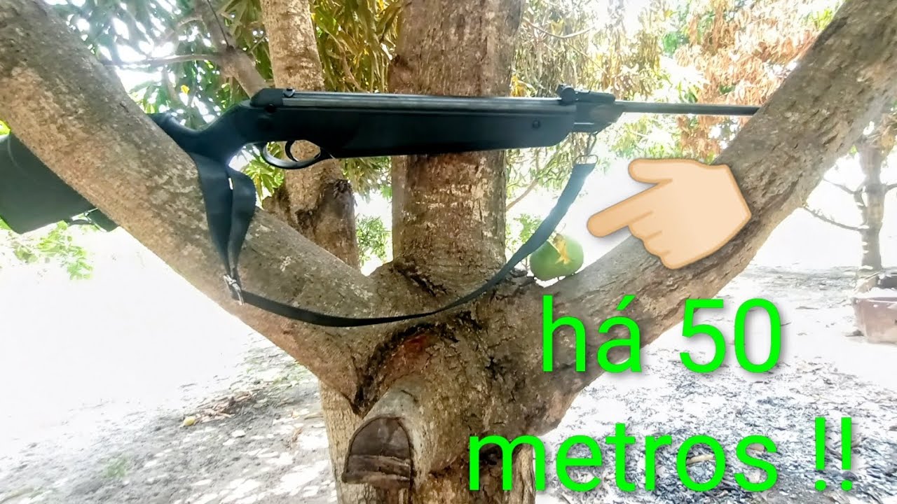 Derrubando manga 🥭🥭🥭 há 50 METROS 😯! Com chumbinho sniper diabolo! ( Dione 4g)