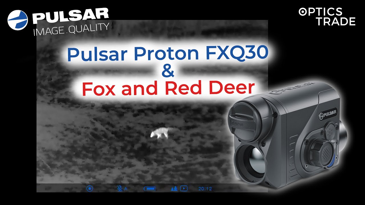 Fox and Red Deer with Pulsar Proton FXQ30 Thermal Attachment NEW 2021 | Optics Trade See Through