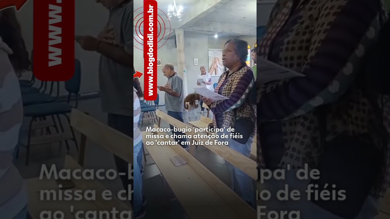 Macaco participa de Missa