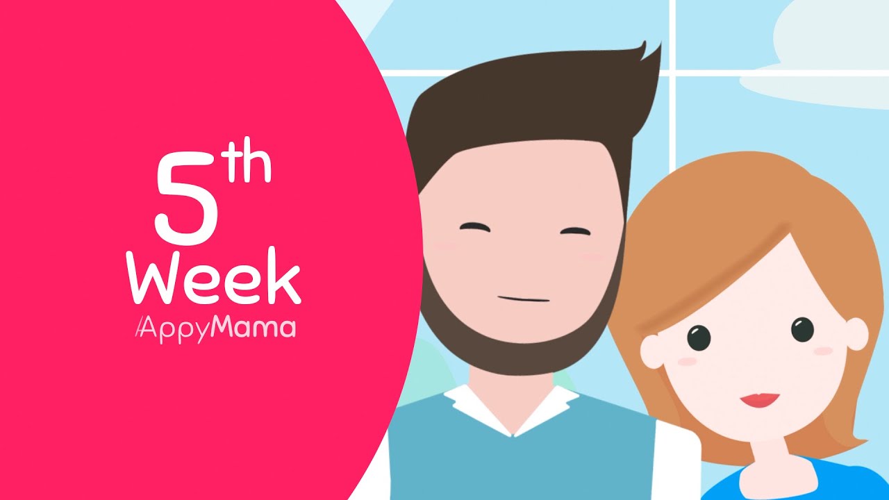 Week 5 of #pregnancy | The effects of hormones