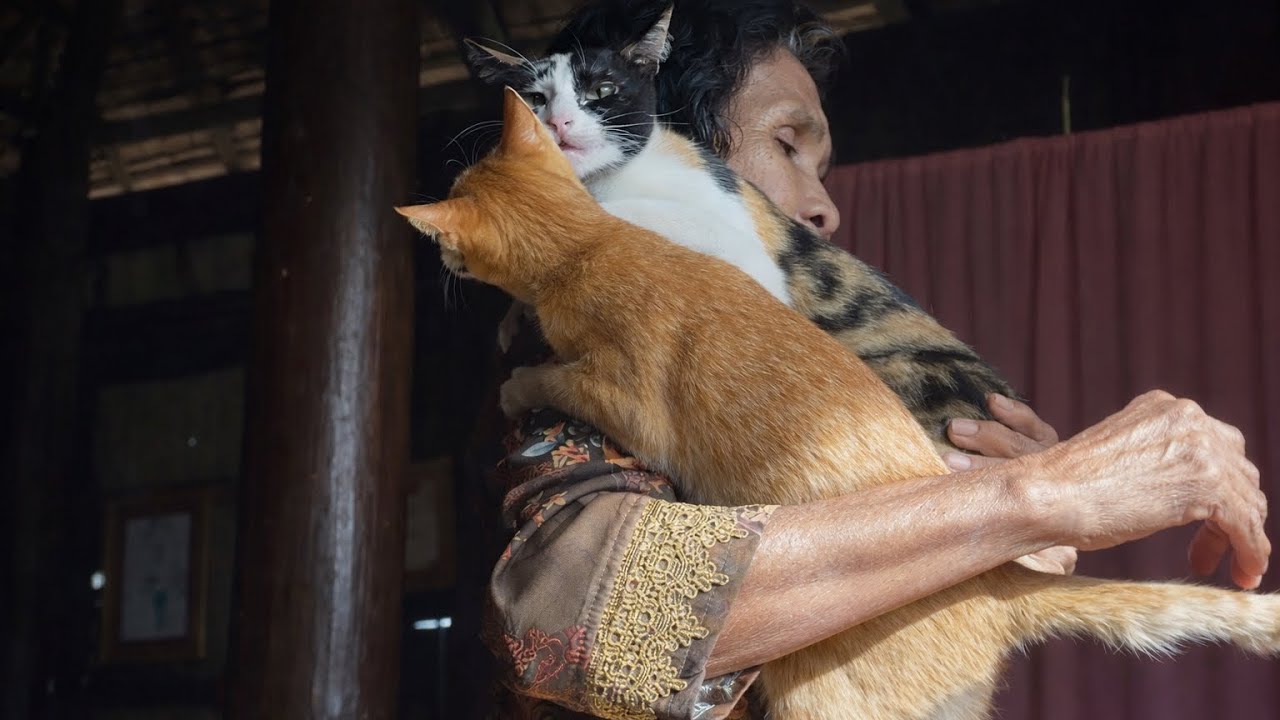 The two cats seem relaxed and trusting. One orange cat stretches comfortably in her arms,