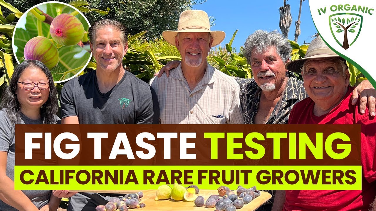 FIG TASTE TESTING | Top Tasting Varieties | feat. CRFG.org