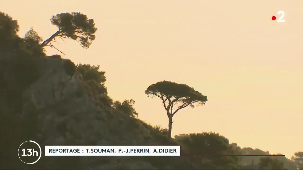 Toulon, ville la plus chaude de la France Métropolitaine