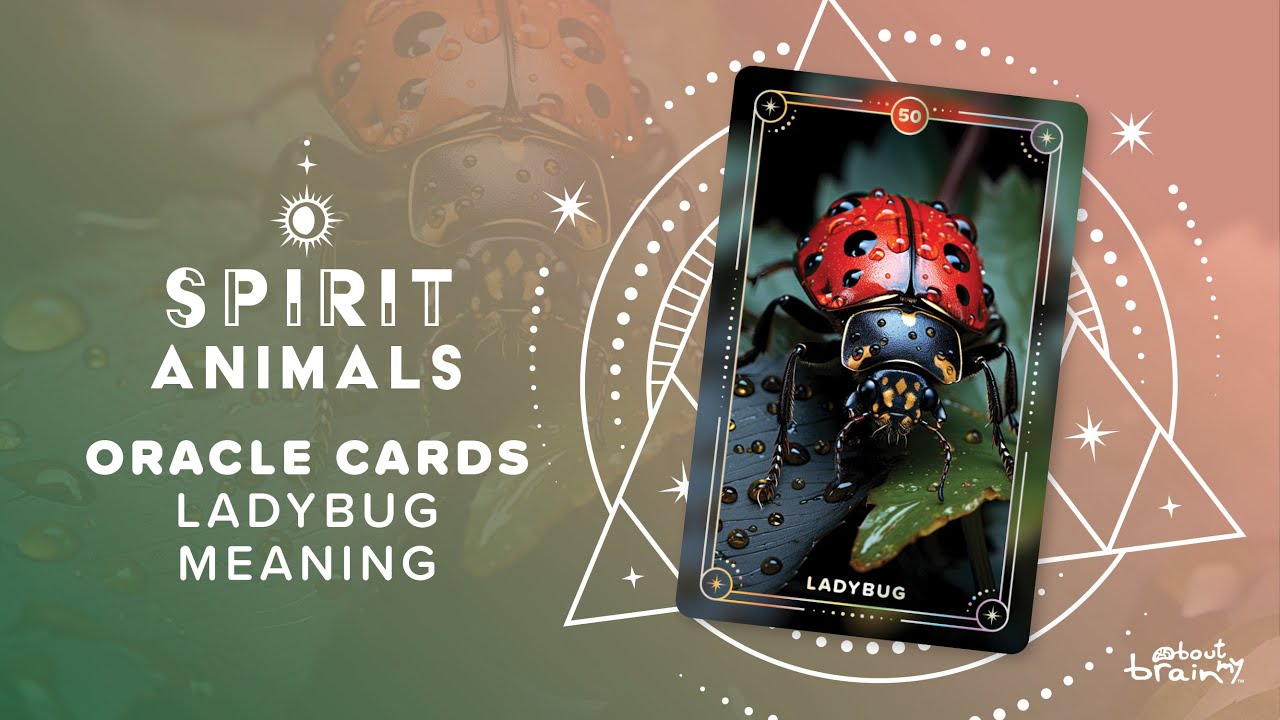 Ladybug Spirit Animal | Symbolism & Meaning Explained