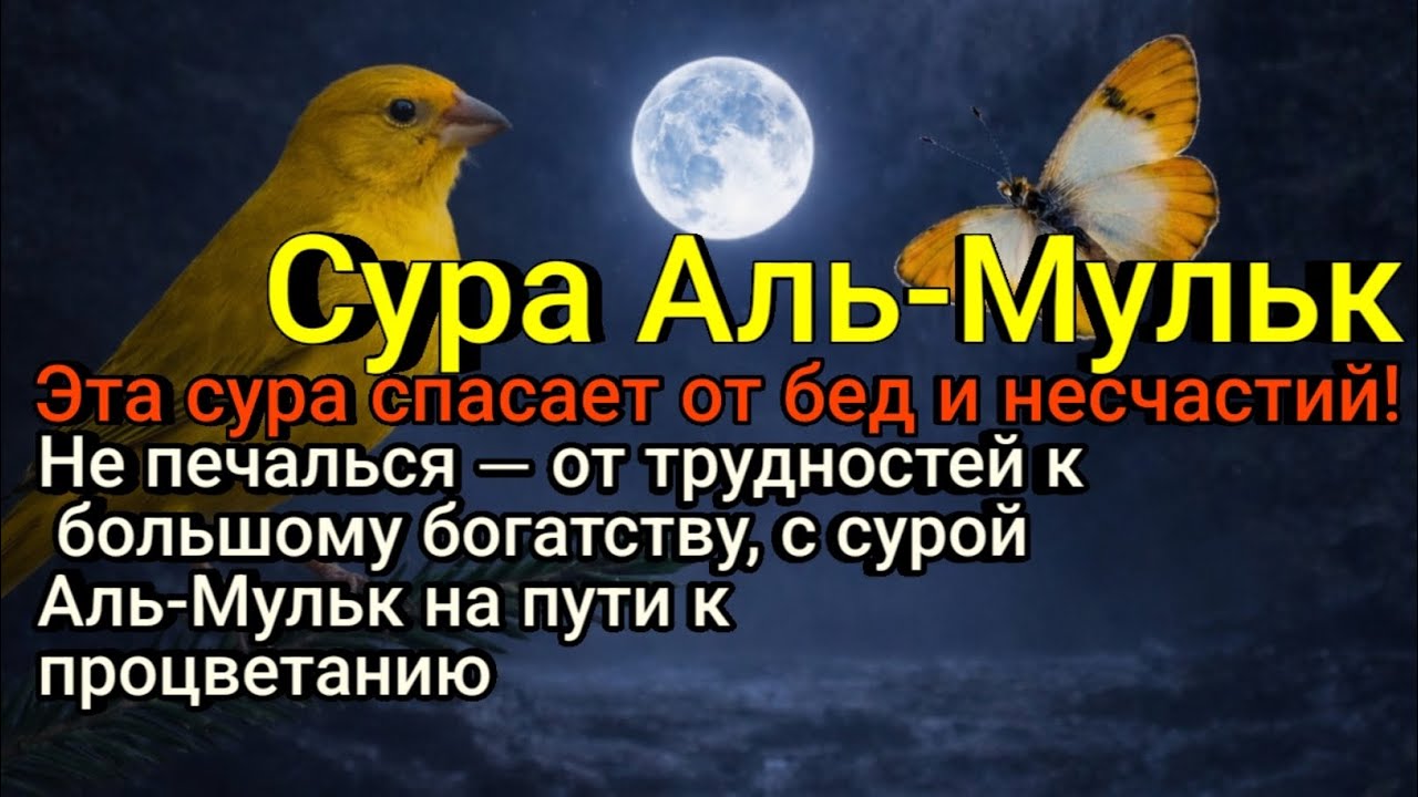 Достигни богатства за короткое время! Вот кратчайший путь к успеху в этом мире