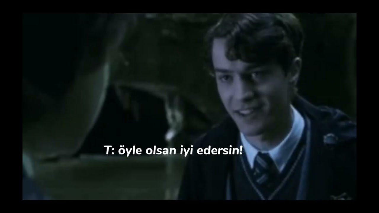 Pov: Y/N bir snape olduğunu öğreniyor *part1*