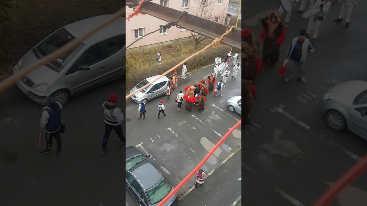 La colindat cu ursul