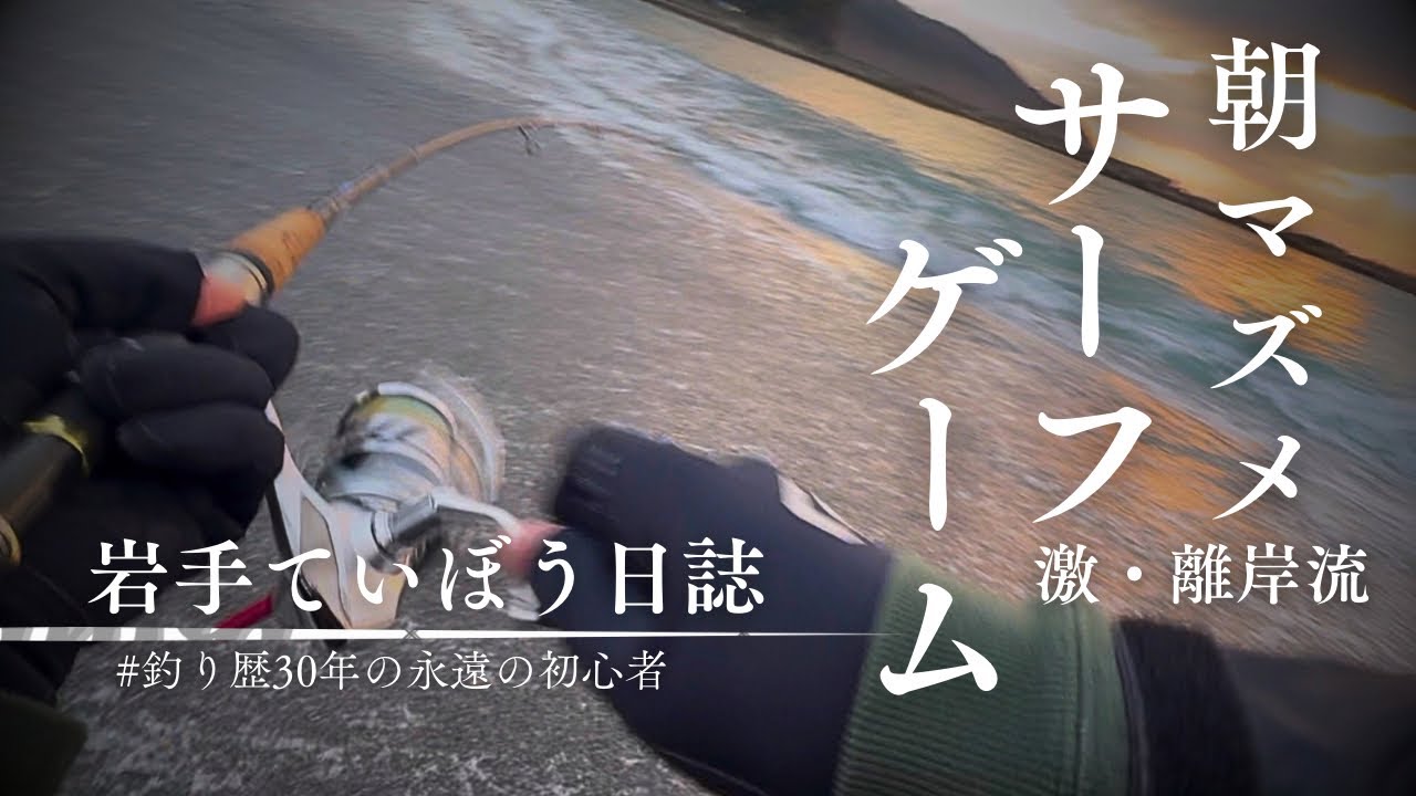 【岩手県】朝のサーフで秋の荒喰いシーバス乱舞　激流をミノーで攻める