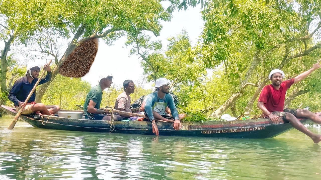 সবাই একসঙ্গে বেরিয়ে পড়লাম সোনার তরী নিয়ে সুন্দরবন জঙ্গলে মধু সংগ্রহ করতে​⁠!!!