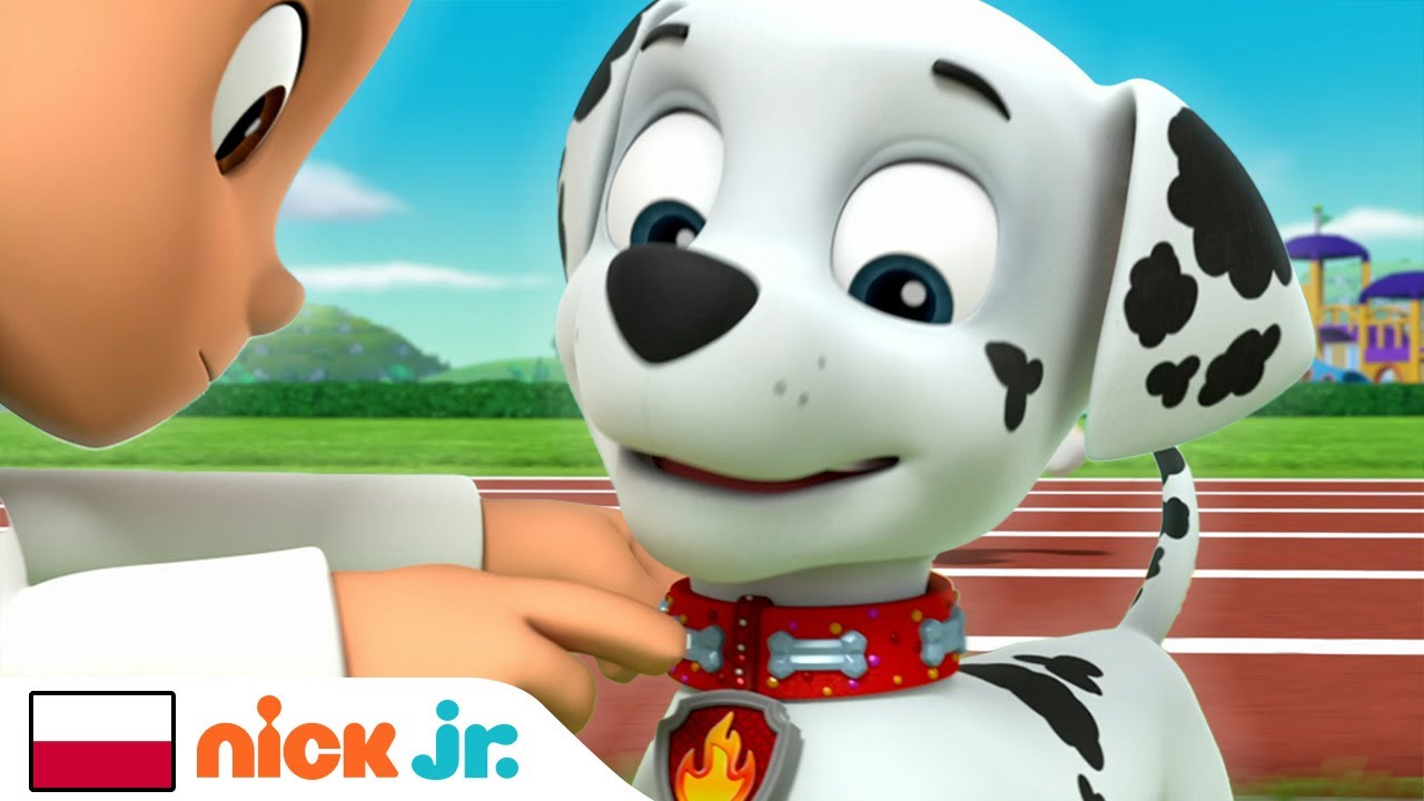 Psi Patrol | Marshall wygrywa wyścig! | Nick Jr.