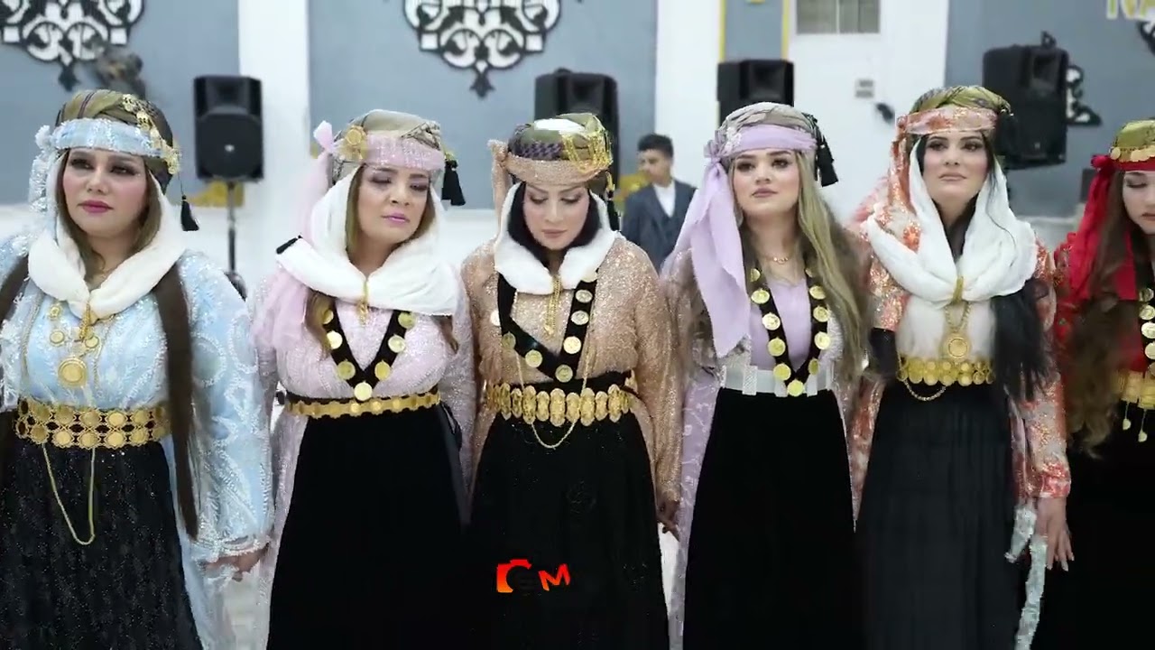 حفلة كوباني هولير #كوباني_قامشلو_عفرين_حسكة_عامودي