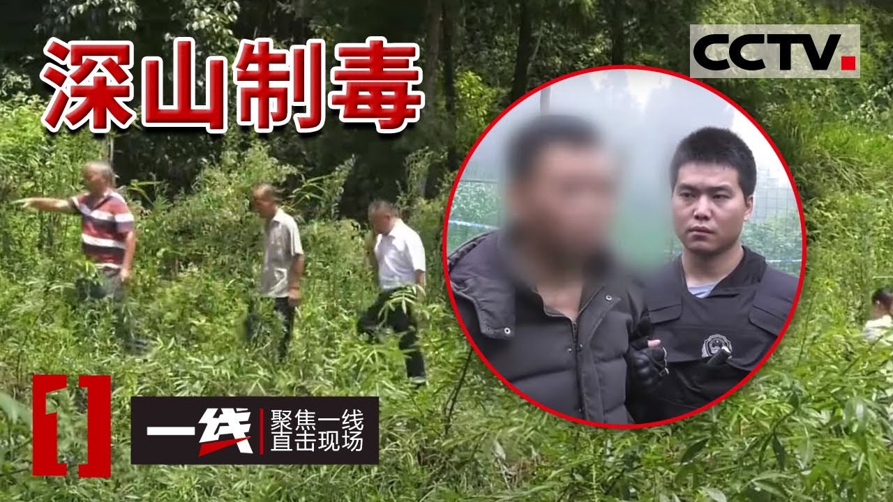 《一线》枪上膛 上百名公安全副武装抓捕“平昌制毒王”平昌县公安局规模最大的抓捕行动！20210610 | CCTV社会与法