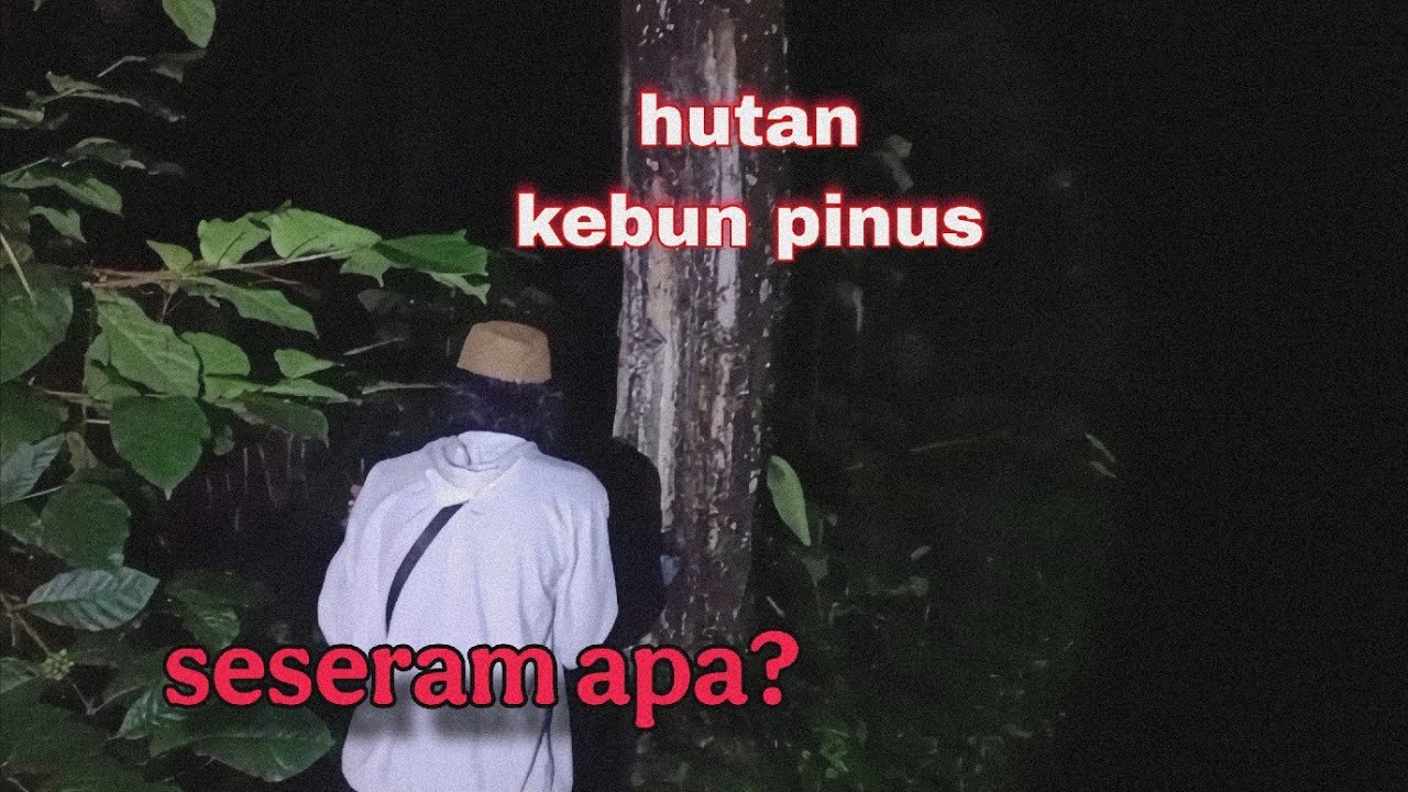 Eksplorasi Hutan Kebun Pinus, Seseram Kata Orang?