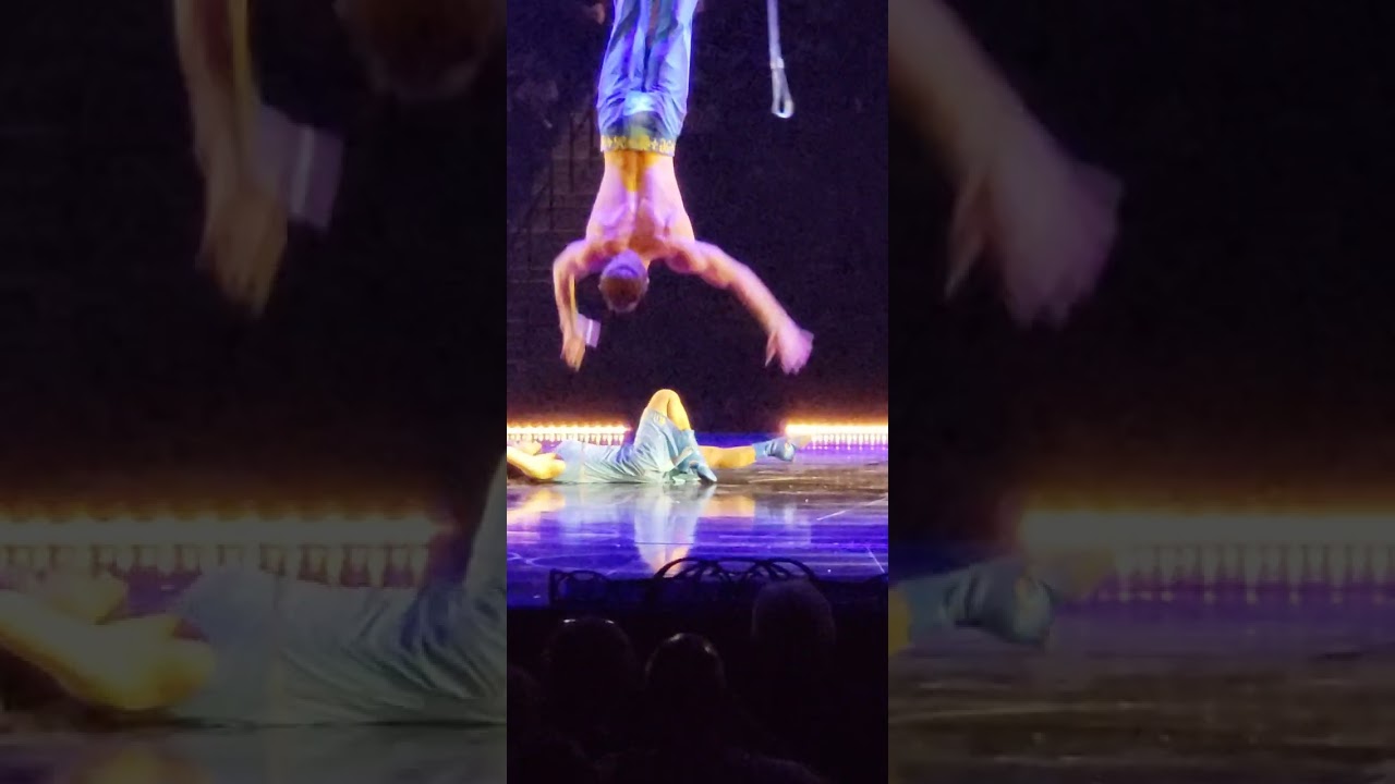 CIRQUE DU SOLEIL - CORTEO. 