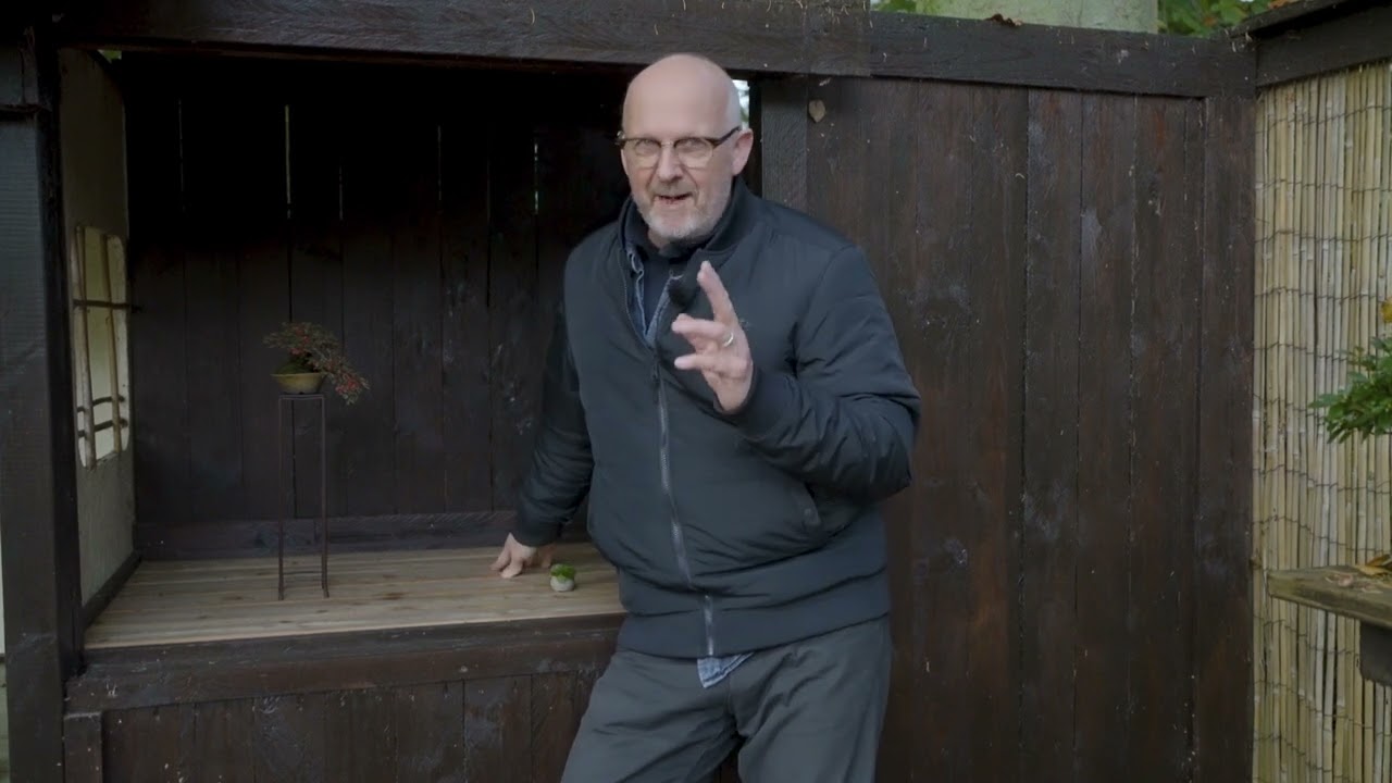 Old Cotoneaster Shohin bonsai