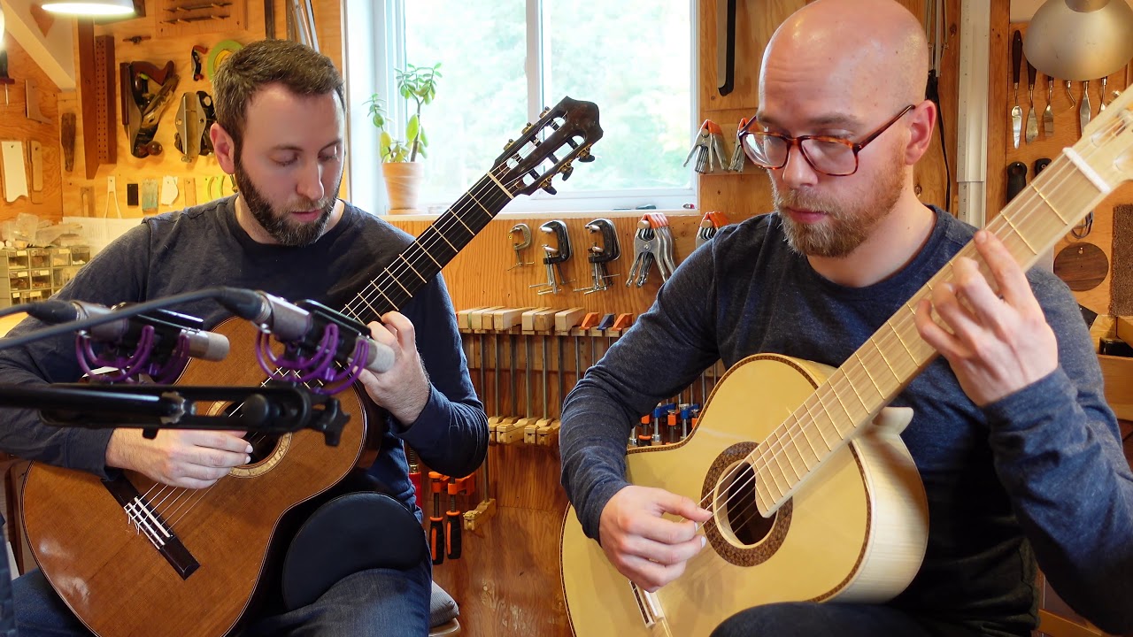 Distracted by the Stones on the Path - Christine Donkin (Adam Cicchillitti and Steve Cowan, guitar)