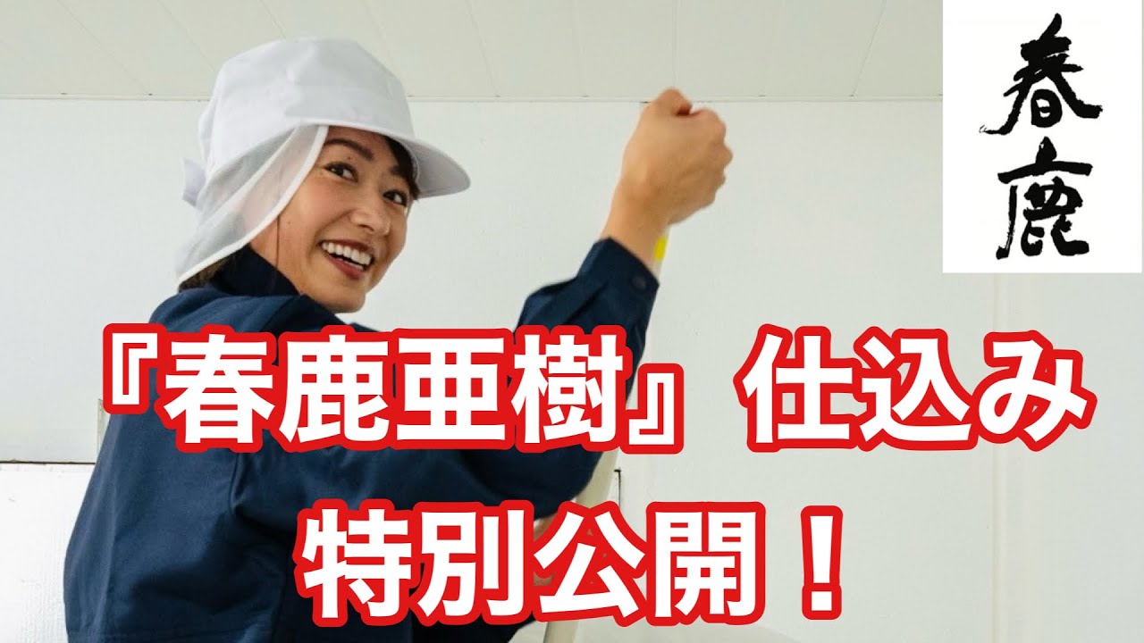 【特別公開】吉川亜樹 プロデュース酒『春鹿亜樹 2025』仕込み編～4年目の完成度は？今西清兵衛商店（春鹿蔵元・奈良）