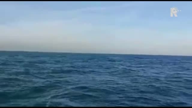 Bultrug verrast schippers bij Hoek van Holland